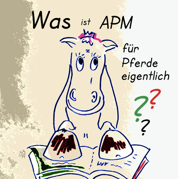 APM nach Penzel - Akupunkturmassage für Pferde