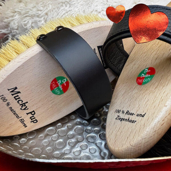 Pferdebürsten Sensibel Set kaufen I Don Dexter Vital-Shop