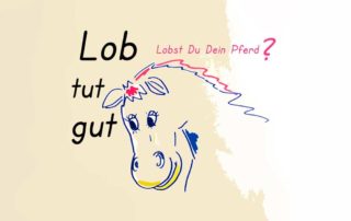 Pferde loben schafft Vertrauen