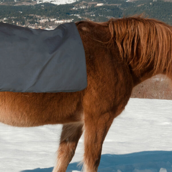Wärmedecke Comforter für Pferd & Mensch, Don Dexter Vital-Shop