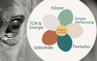 Don-Dexter-Blüte: Visualisierung eines ganzheitlichen Ansatzes für Pferde mit Körper, innerer Verfassung, Energie, Selbsthilfe und Beziehung zum Tierhalter.