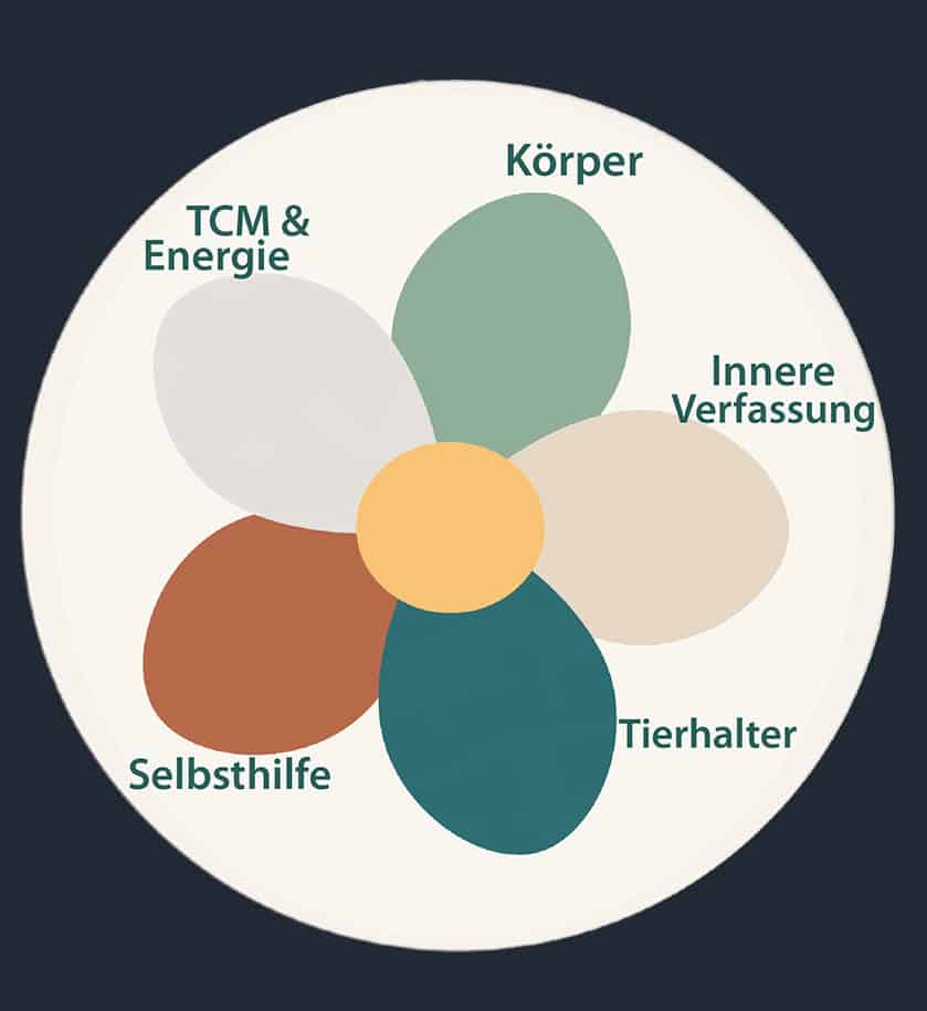 Don-Dexter-Blüte: Visualisierung eines ganzheitlichen Ansatzes für Pferde mit Körper, innerer Verfassung, Energie, Selbsthilfe und Beziehung zum Tierhalter.