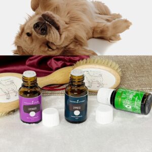 ENERGY Hundebürsten-Set & ätherische Öle für Hunde mit Young Living Zypresse, Lavendel und Pet Care sowie kostenlosem Kurs zum Einsatz ätherischer Öle beim Energetischen Bürsten von Hunden.