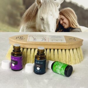 DANDY ENERGY Pferdebürste mit Young Living Zypresse, Lavendel und Pet Care. Kurs-Set mit kostenlosem Kurs zum Einsatz ätherischer Öle beim Energetischen Bürsten von Pferden.